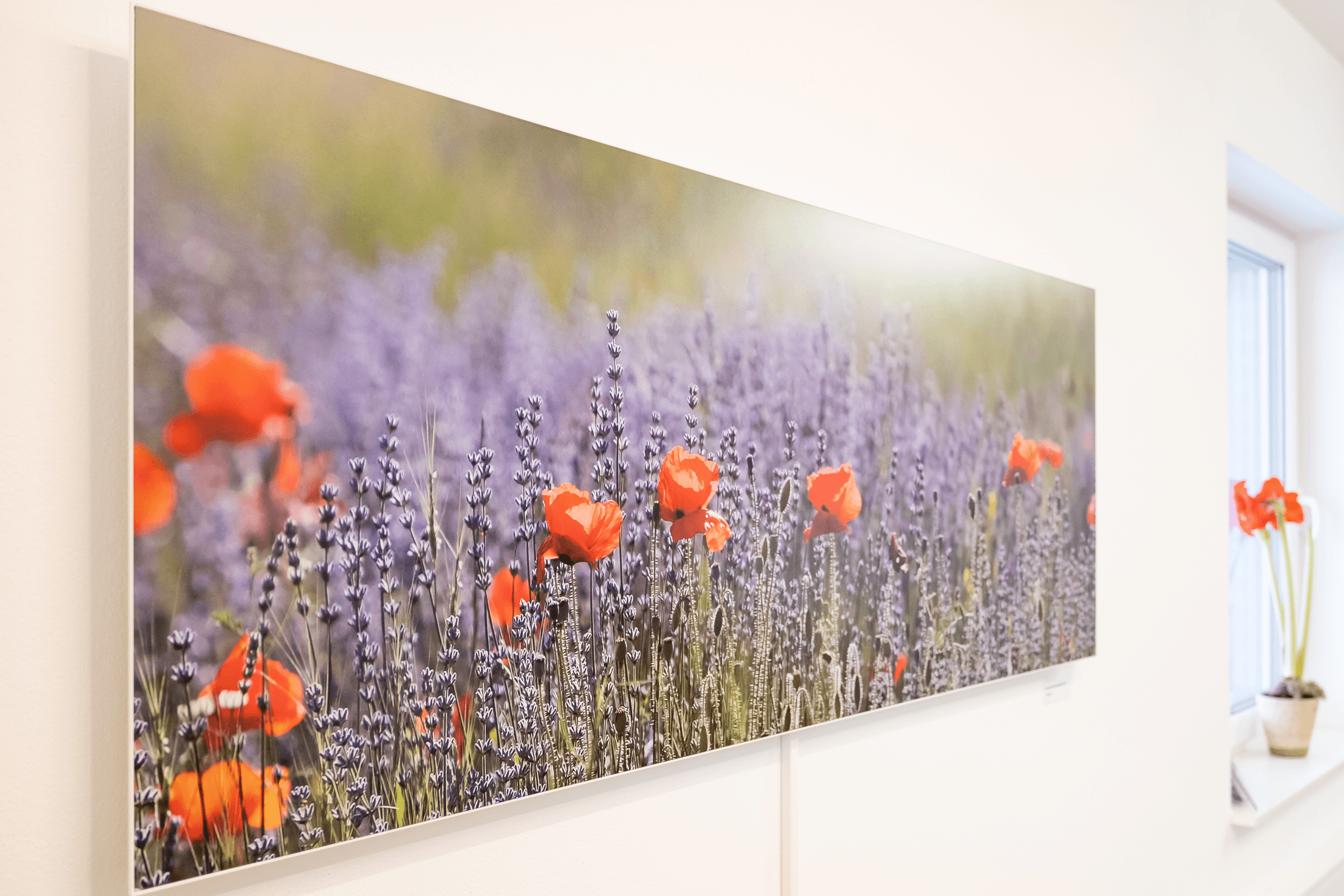 Austaller Showroom